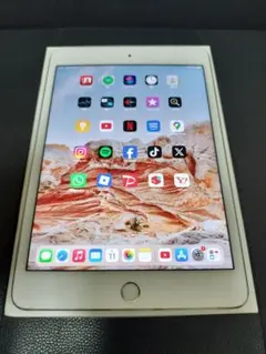 Apple iPad mini 4 64GB シルバーのサムネイル