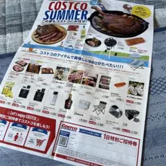 コストコ 1日特別ご招待券 チラシ　普通郵便価格のサムネイル