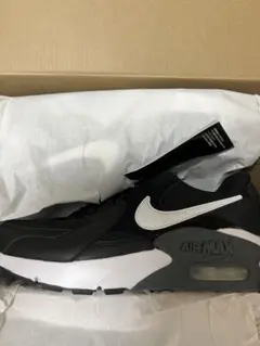 NIKE ナイキ エアマックス エクシー CD5432-003 23.5cm