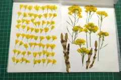 ｙｕｆｕｊｕ様 リクエスト 3点 まとめ商品