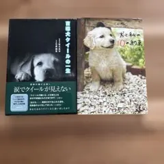 Item thumbnail for item 9cb654ae-d05f-4469-8580-6b1bf2bf91ad