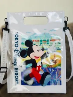 【美品】東京ディズニーリゾート ミッキー ミニー クリアバッグ ショルダー 防水