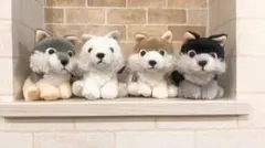 もふっとオオカミ ミステリアス　全４種　レイラ　カミオン　ルガー　ハンター