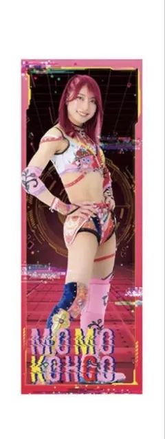 レア] Sareee アクリルスタンド IWGPベルト 女子プロレス - メルカリ
