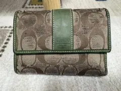 Item thumbnail for item 1228dbe9-9534-49c1-9093-63b3e7fa0f5d