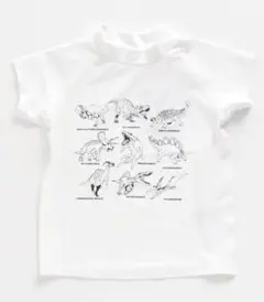 新品 BREEZE 半袖ラッシュガード_UVカットFOonline