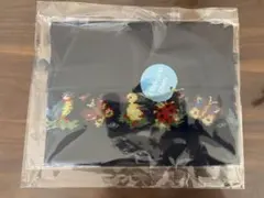 フェイラー　上履きバッグ　巾着