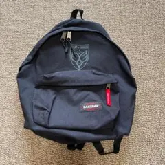 BUMP OF CHICKEN リュック バックパック　新品未開封　即日完売品！ BUMP OF CHICKEN リュック バックパック 新品未開封 即日完売品！