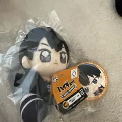 ハイキュー!! ぬいぐるみと缶バッジセット　タイトーくじ