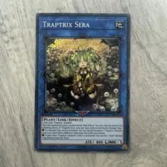 2026年最新】セラの蟲惑魔の人気アイテム - メルカリ