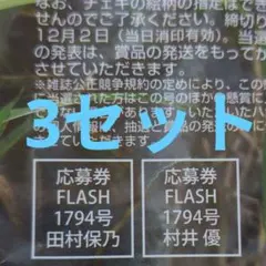 FLASH 櫻坂46 田村保乃 村井優 直筆サイン入りチェキ応募券 3セット