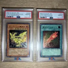 2025年最新】ネフティスの鳳凰神 レリーフ psa10の人気アイテム