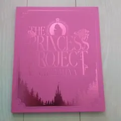 CHANMINA THE PRINCESS PROJECT DVD - メルカリ