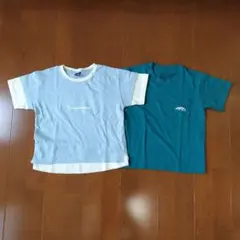 120cm 恐竜&ワニ柄 Tシャツ ２枚セット