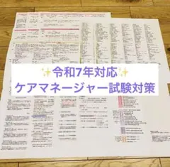ケアマネジャー試験対策　手作り資料　介護支援専門員　ケアマネ　レジュメ