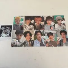 TREASURE PLEASURE セルフィーフォトカード セット 全員 トレカ