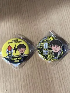 群馬クレインサンダーズ 藤井祐眞 缶バッジ2個セット