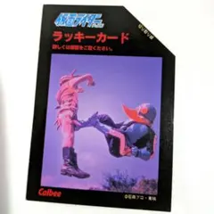 仮面ライダー カード 327番 カルビー ラッキーカード レア！カルビー旧仮面ライダーカード ラッキーカード KR14版 No.246