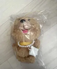 専用