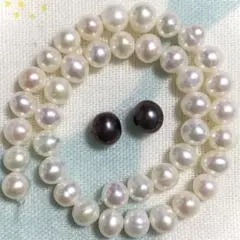 Item thumbnail for item d212f231-f150-4e79-873e-91e0a2f543ee