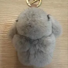 まんごう様専用ページ