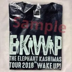 Item thumbnail for item 4d7a2e61-e383-4cd7-992d-e17616d0a62c