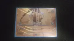 トレジャーマウンテン エンチャンテット ロルカナ