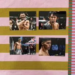 Item thumbnail for item 10cd8223-05ec-4a3e-8eb2-40f472213d6d