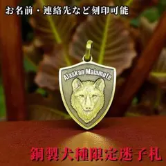 Item thumbnail for item 694927c9-ffba-4f9a-b83f-5fb3e5613227