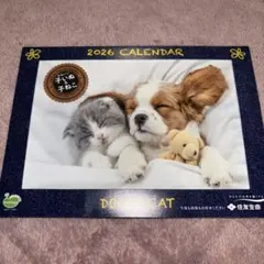 Item thumbnail for item 0f3cc569-7a6f-4313-a9ff-6b52c0085093