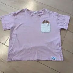 【美品】ラーゴム パウパトロール スカイ Tシャツ ピンク 110 女の子 半袖のサムネイル