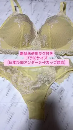 intimissmi【新品未使用】ブラ上下セット ノンワイヤーサポートブラ