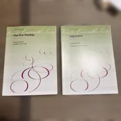 Item thumbnail for item 207ca27d-f346-4f15-8626-d6f57d48524e