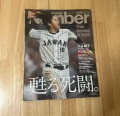 Item thumbnail for item 96fd3889-f9df-4d89-b384-b1f477bef82c