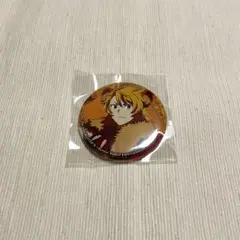 舞田類 TT 缶バッジ
