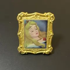 Disney Princess Canvas Ring