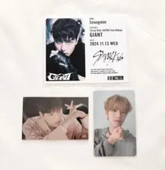 Stray Kids スキズ スンミン トレカ 画像のもの セット