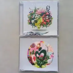 5.10 Mrs.GREEN APPLE