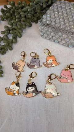 고양이 참 7종 세트