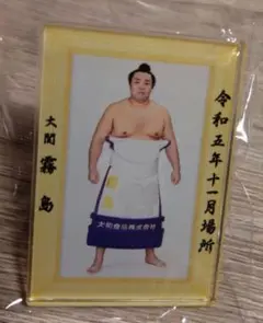 大相撲　若隆景　優勝額風アクリルバッジ　クレーン　相撲　ガチャ 大相撲 若隆景 優勝額風アクリルバッジ クレーン 相撲 ガチャ