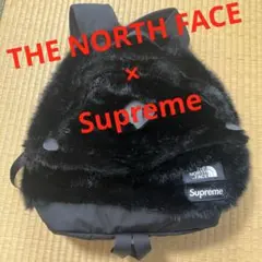 て*く様 ノースフェイス　シュプリーム　ファー　バックパック