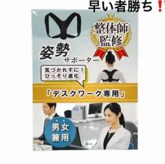 早い者勝ち　姿勢　サポーター 現役整体師監修 姿勢 ベルト 猫背 男女兼用