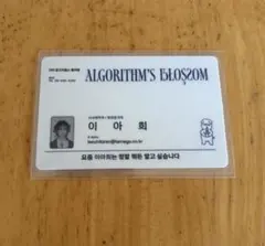 QWER マゼンタ Algorithm's Blossom 封入 ID カード