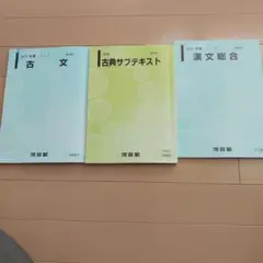 2026年 古文・古典サブテキスト・漢文総合 セット　河合塾