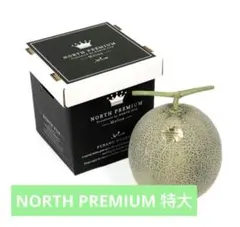 入荷しました！幻のメロン ナイルメロン 2Lサイズ 5玉 送料込み - メルカリ