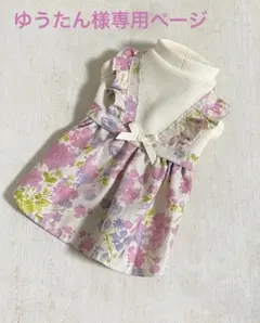 【ゆうたん様専用ページ】ハンドメイド　犬服　小型犬