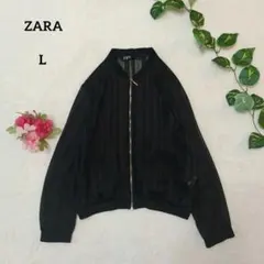 ザラ ZARA ブルゾン アウター シースルー ストライプ 黒 L 透け感 希少