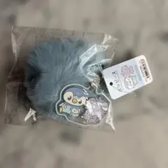 ポケモン ポケピース ファーチャーム ポッチャマ 水属性 アニメ