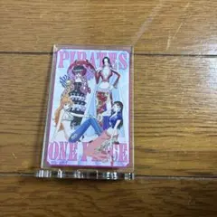 ナミ＆ロビン＆ハンコック＆ペローナ 「ワンピース×ヴィレッジヴァンガード