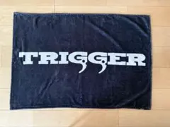 TRIGGER ブランケット キルラキル パンスト